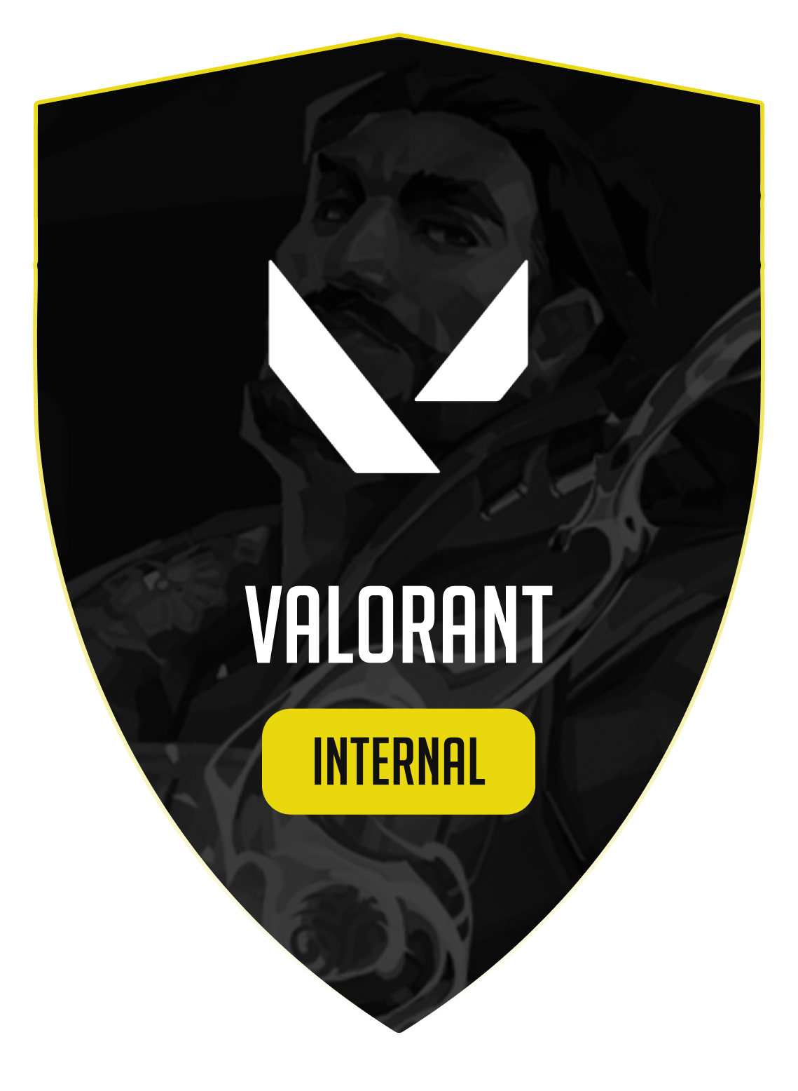 Valorant Internal