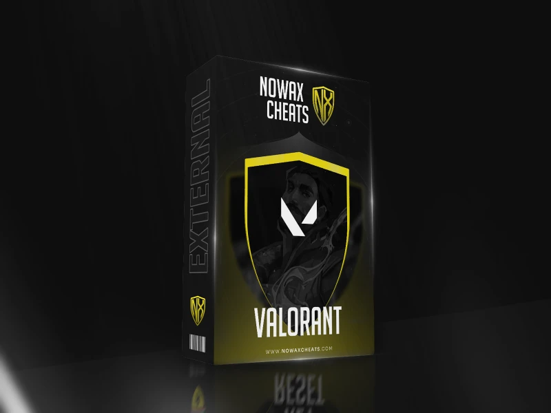 Valorant External